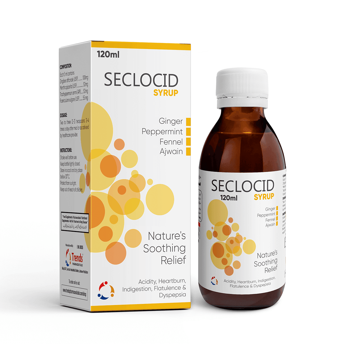 Seclocid Mockup front