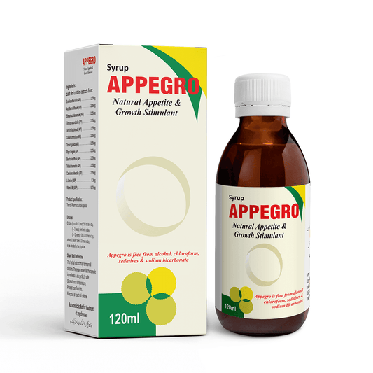 Appegro Mockup front