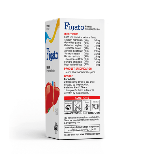 Figato Mockup back